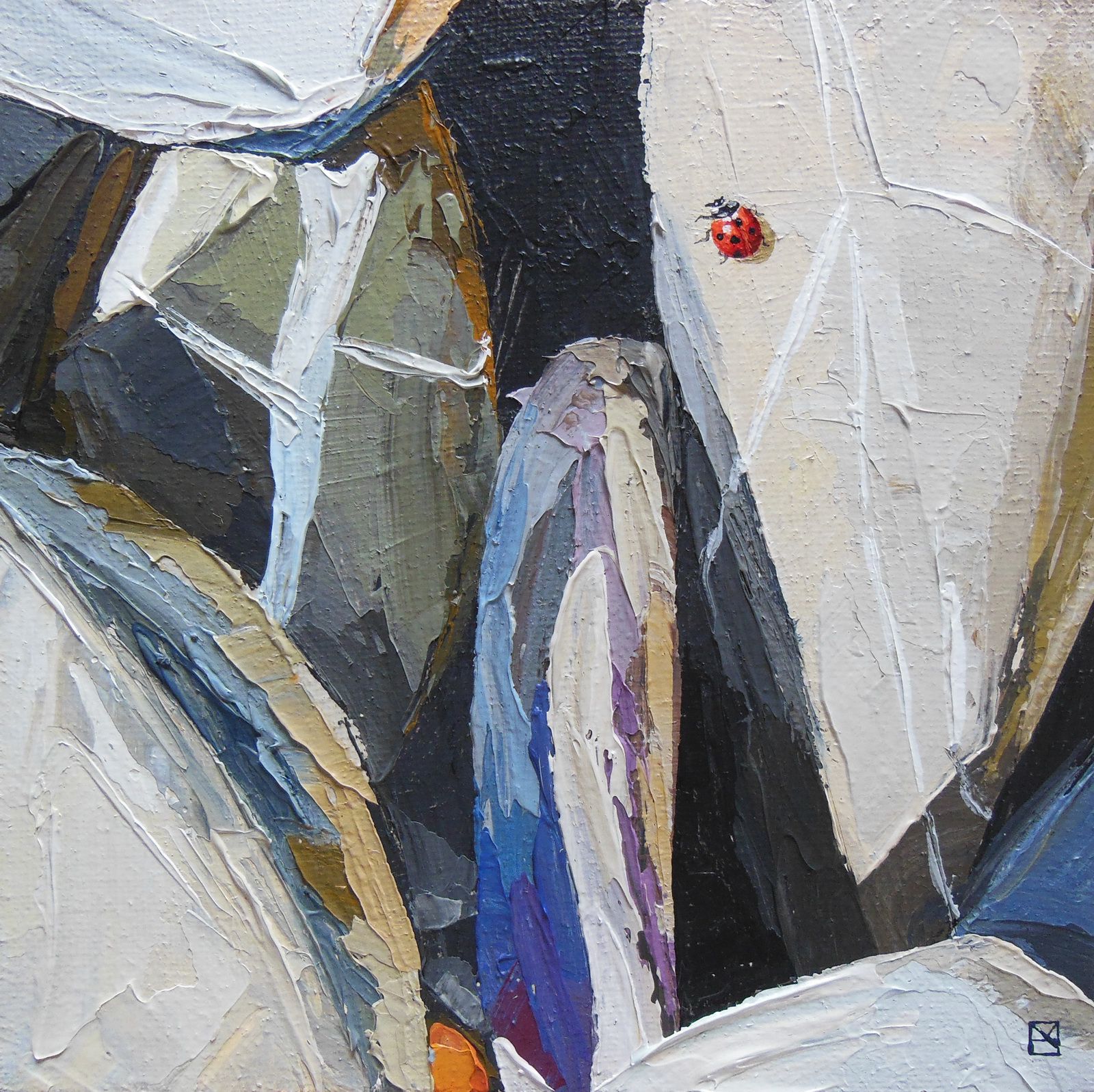 24. Ladybug