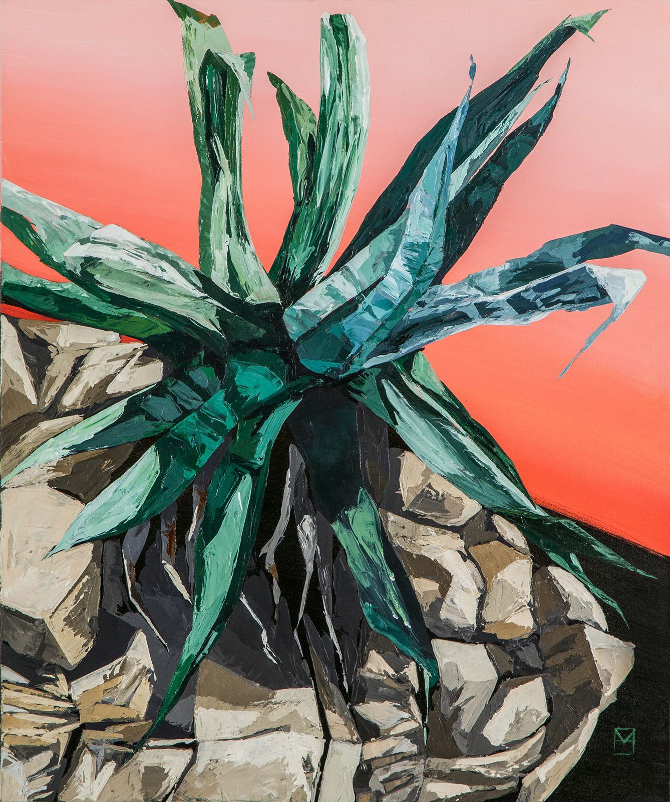 28. Agave