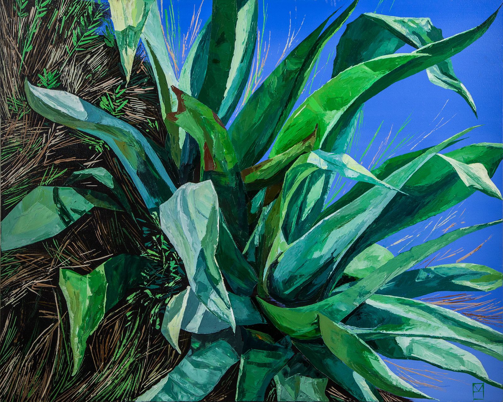 29. Agave