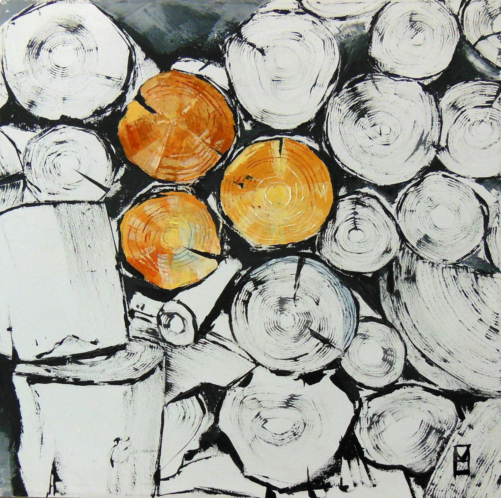54. Bianco E Nero