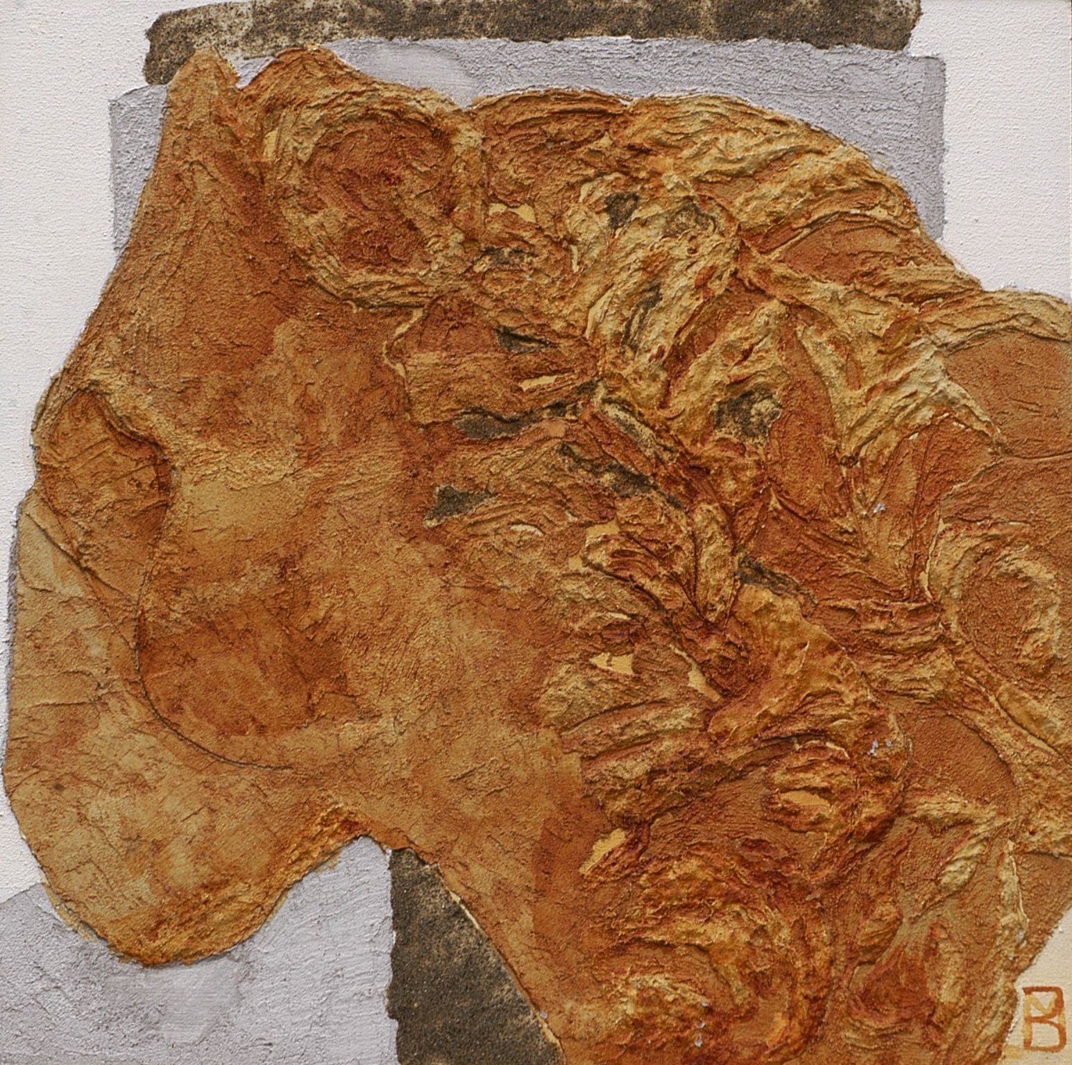 8. Profilo