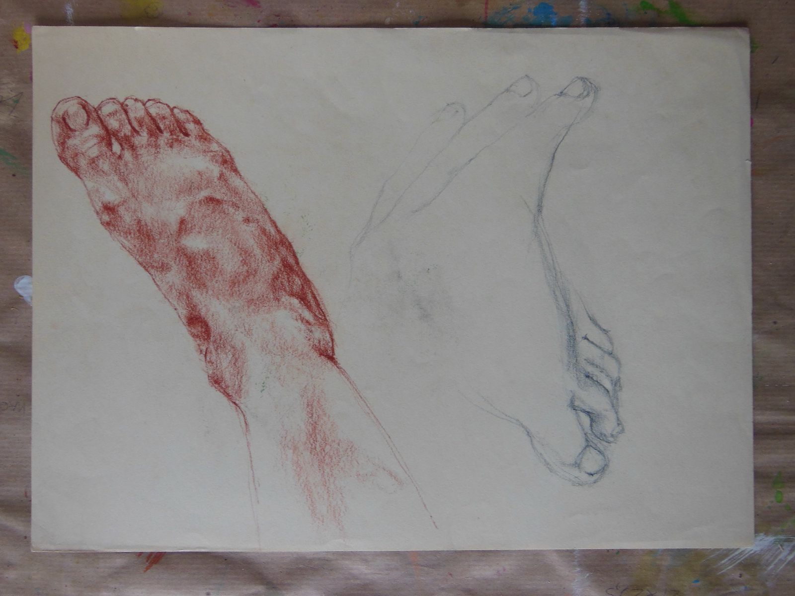 Studi