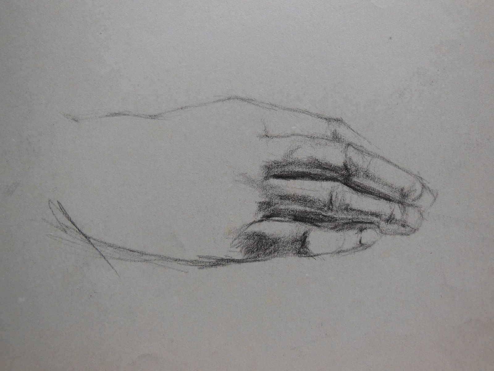 Studio Anatomico