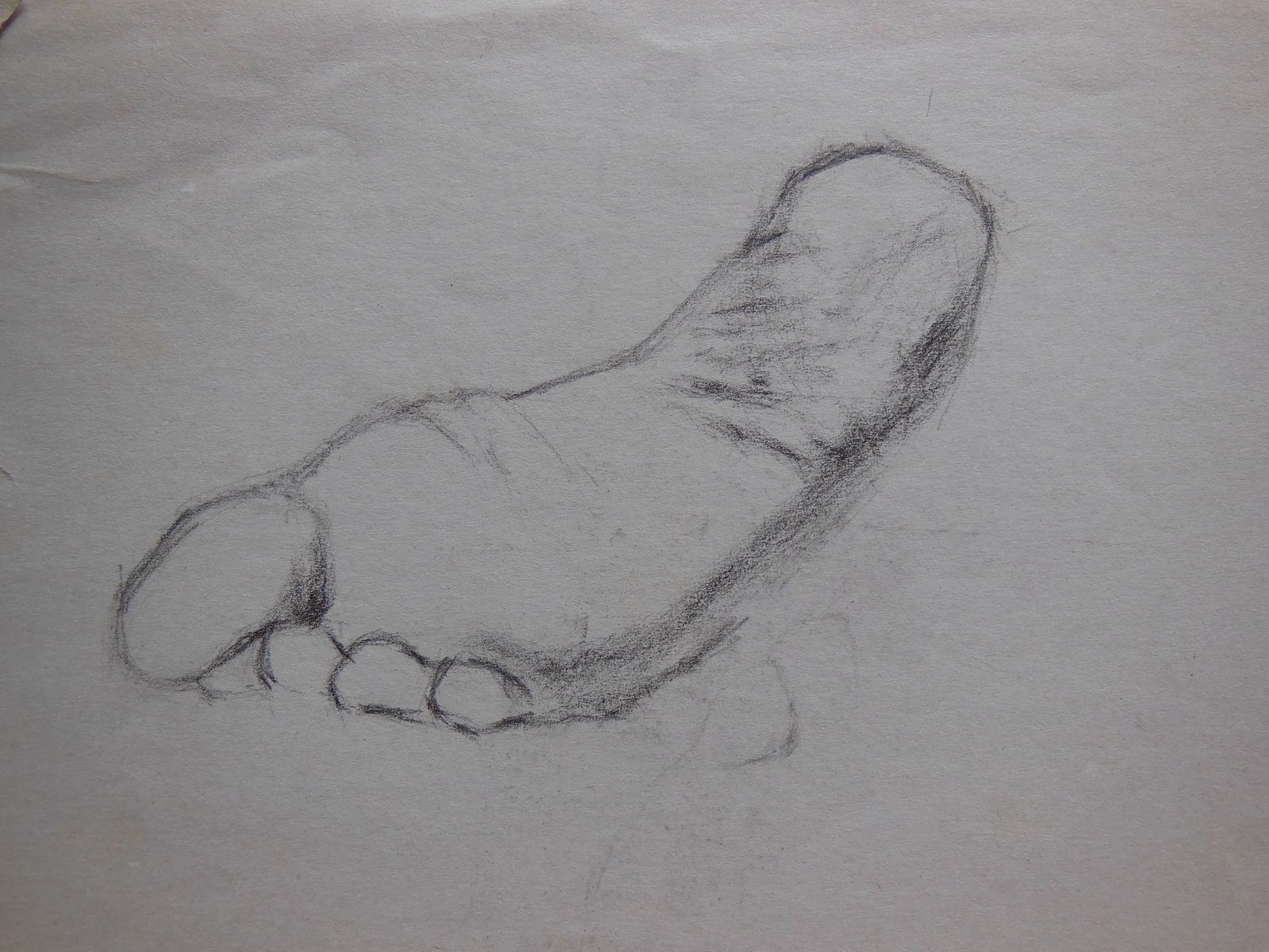 Studio Anatomico