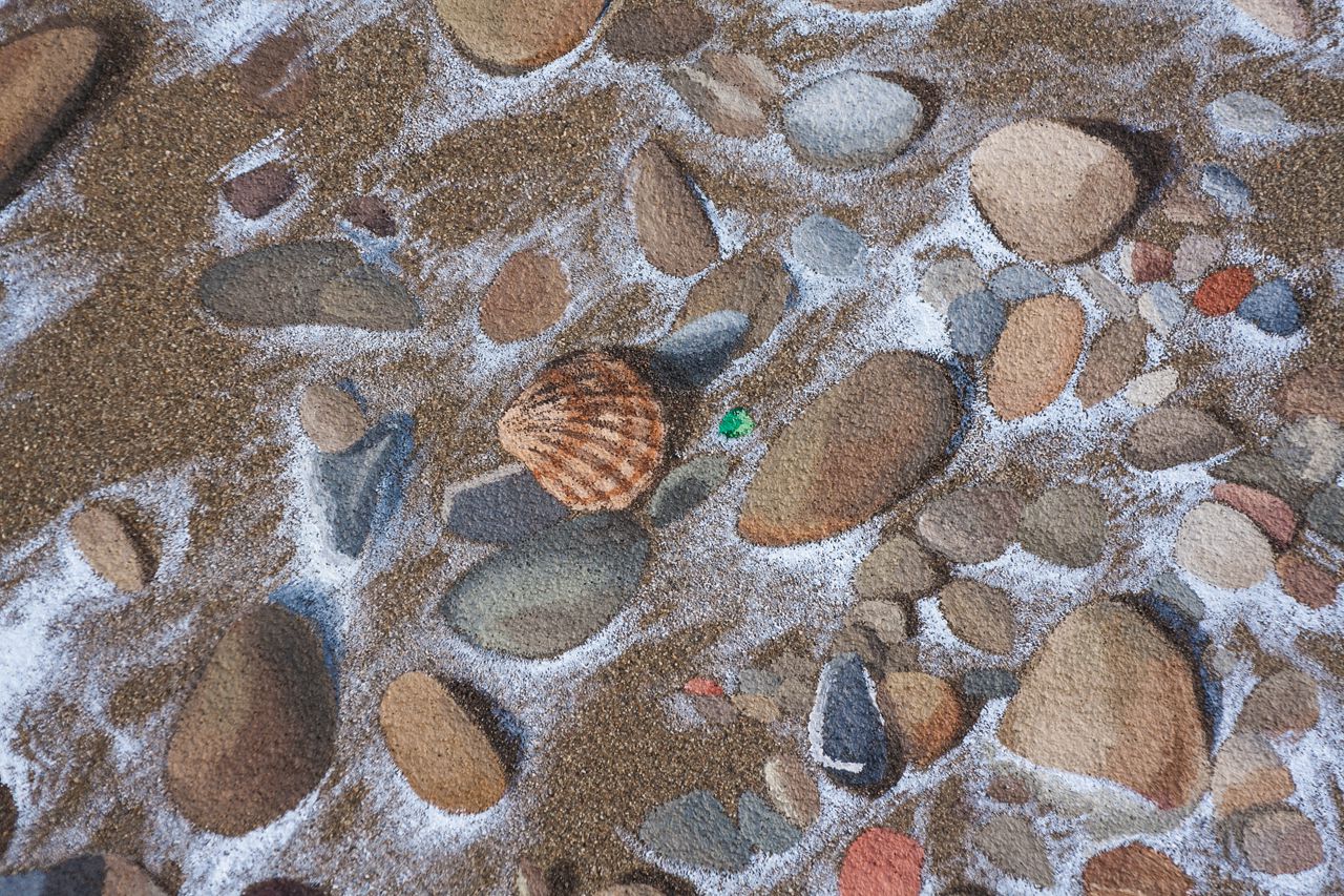 Particolare Opere Natura #08