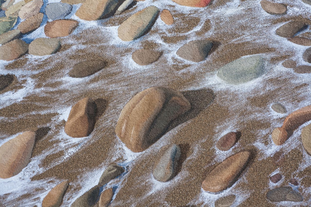 Particolare Opere Natura #09
