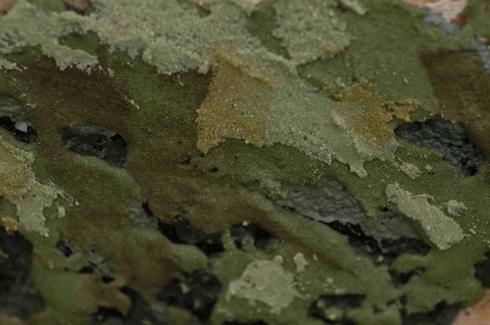 Particolare Opera 334